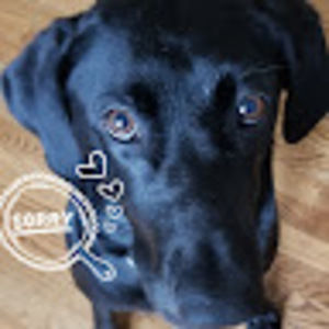 Meet your Posher, Sharla